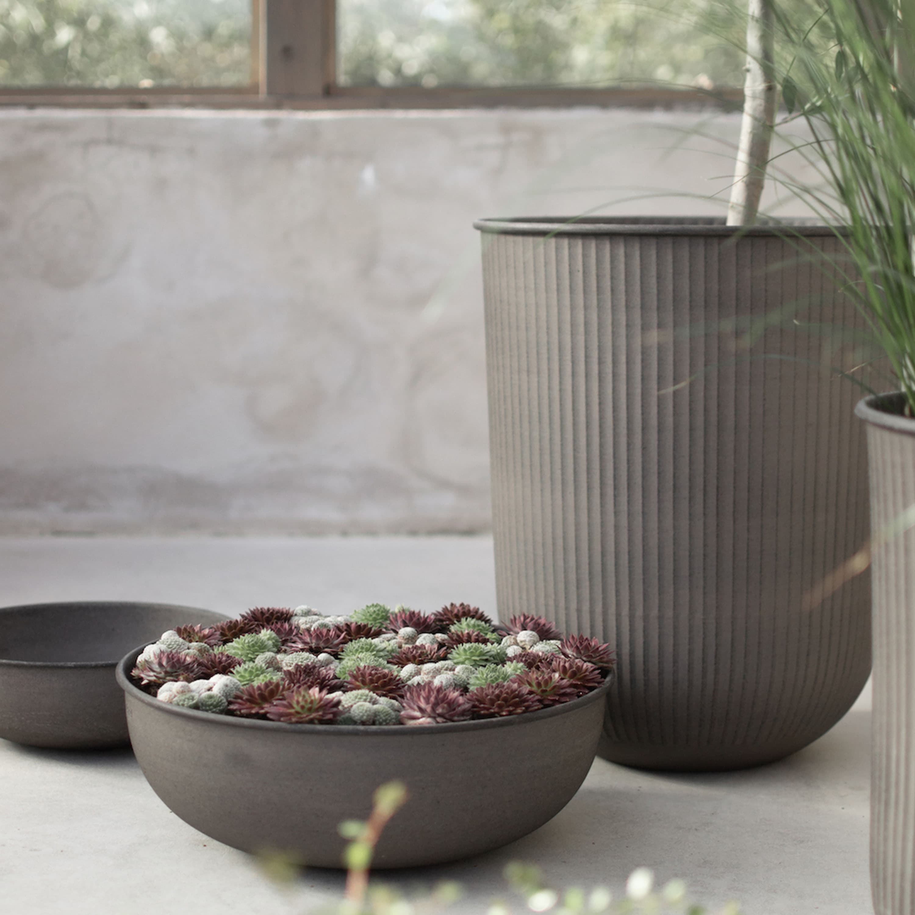 Out Bowl Green 3-pack