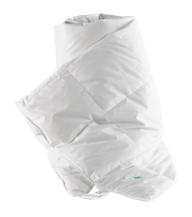 Cecilia Down Duvet I Never Get Cold 220x220