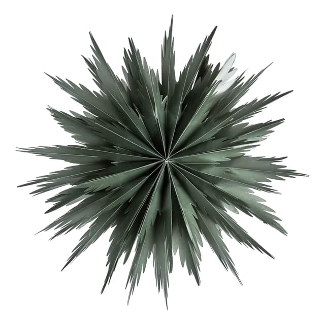 Liz Weihnachtsstern Green 50 cm