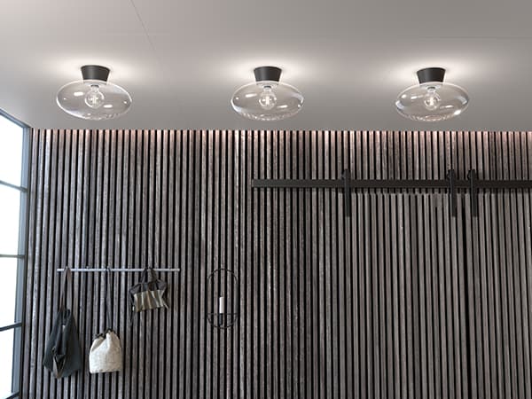 Bullo Ceiling Light Clear/Black