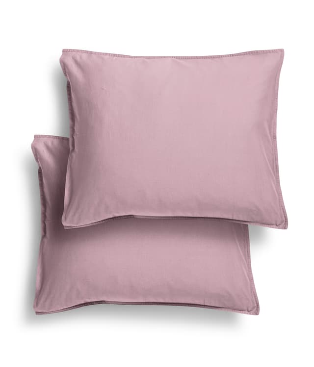 Pillowcase Aster 50x60 Set of 2