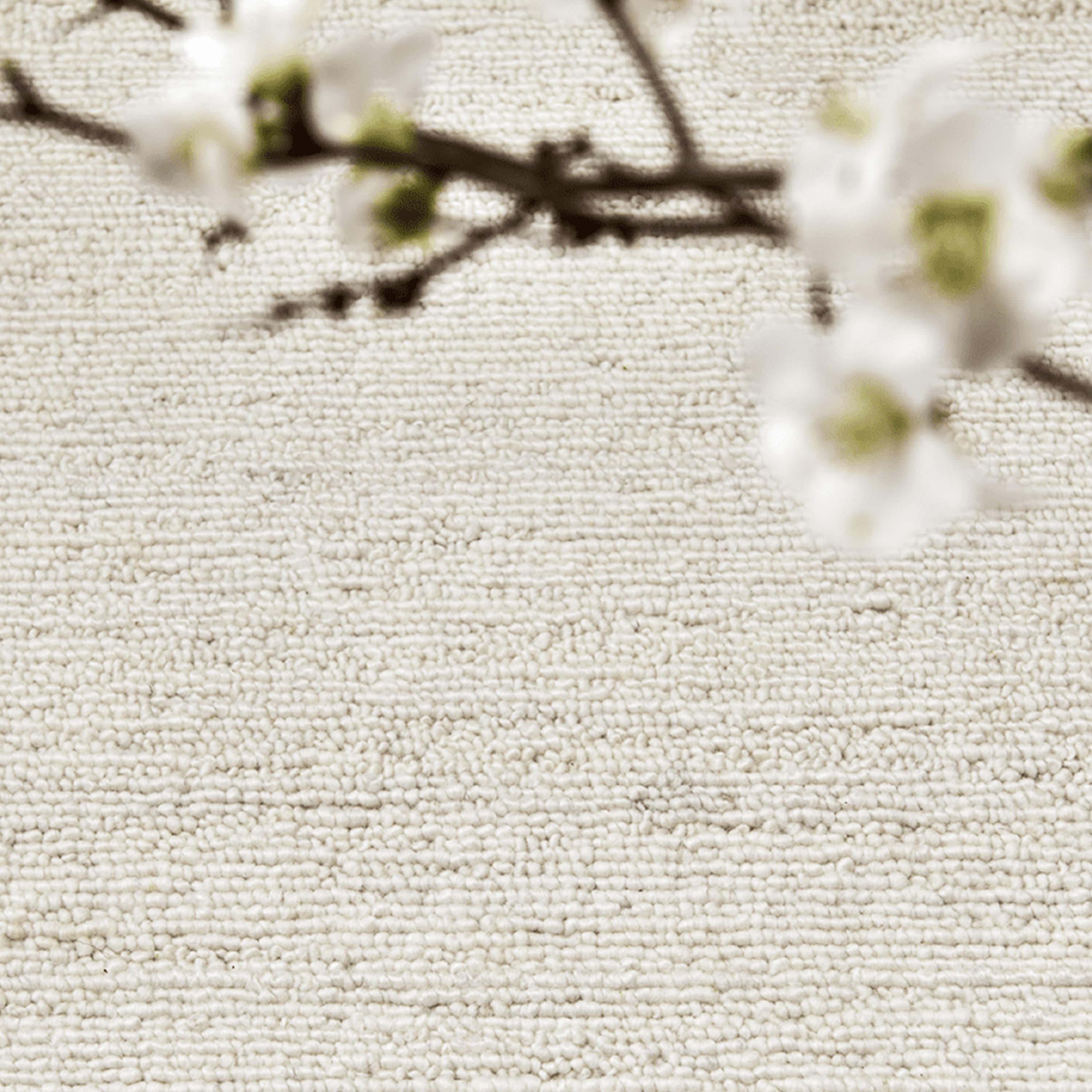 Boucle Wollteppich Ivory 200x300