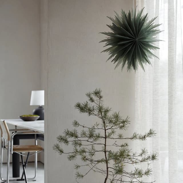 Liz Weihnachtsstern Green 50 cm