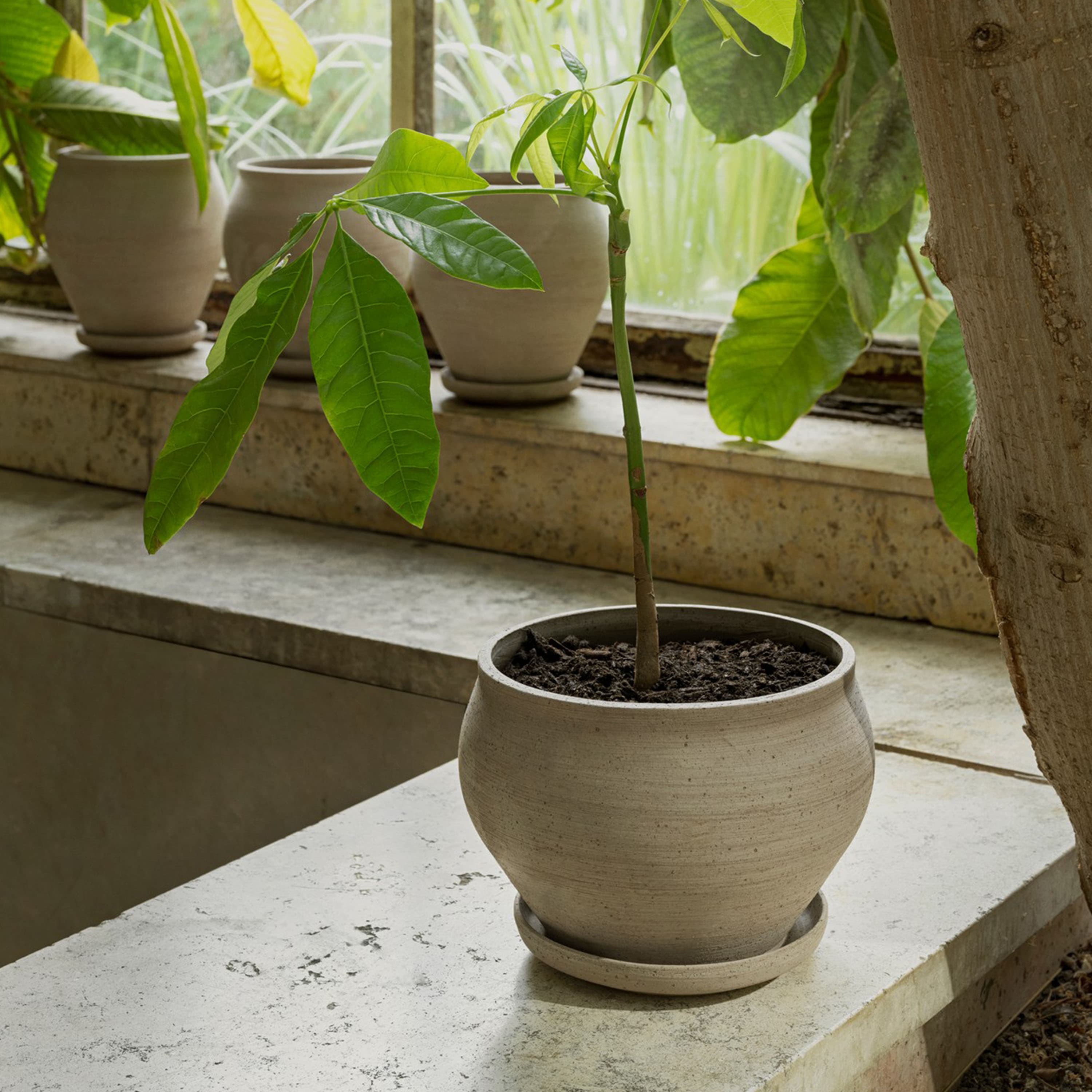 Delphi Plant Pot with Saucer Raw Grey Low Ø24