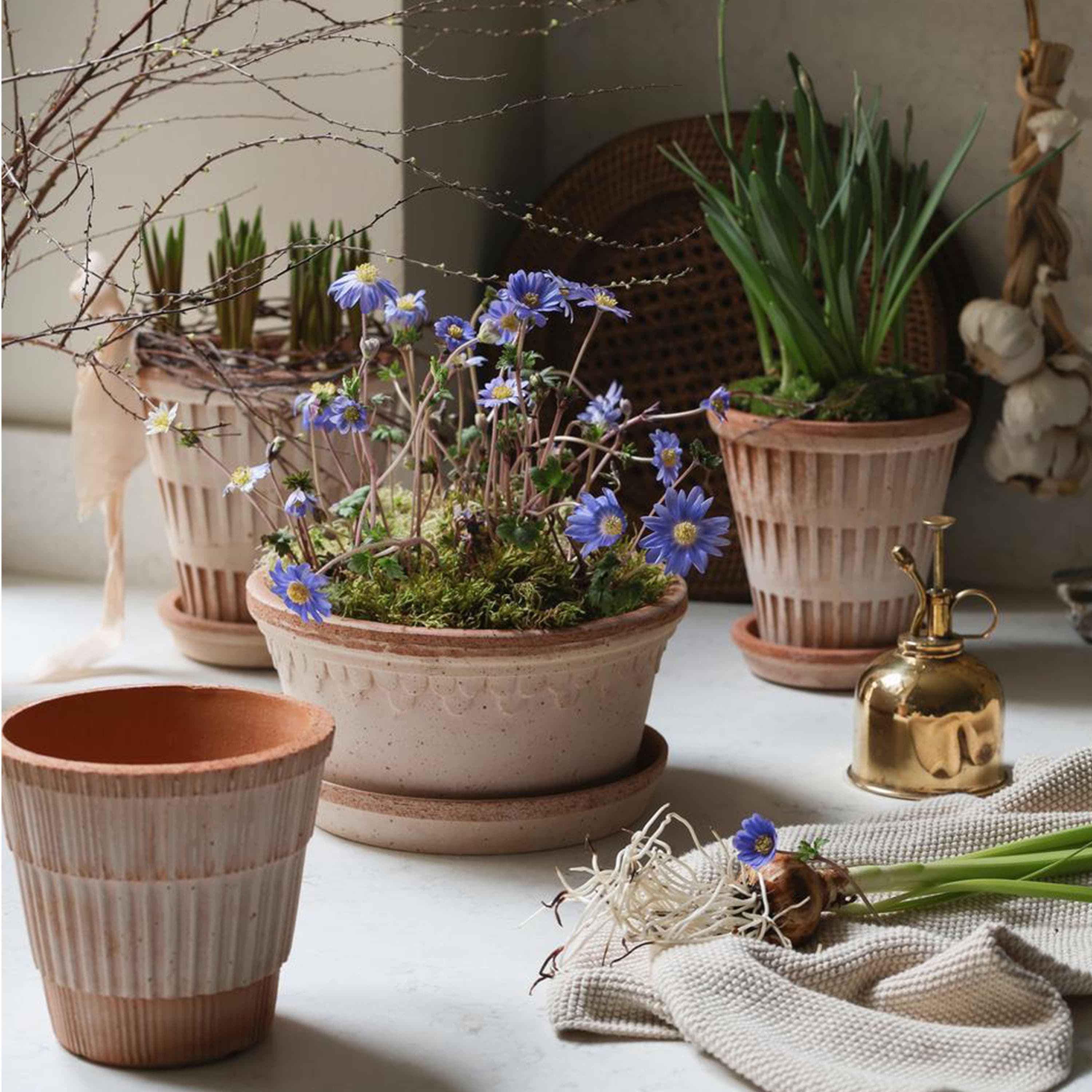 Atlas Topf Raw Rosa Terrakotta Ø18