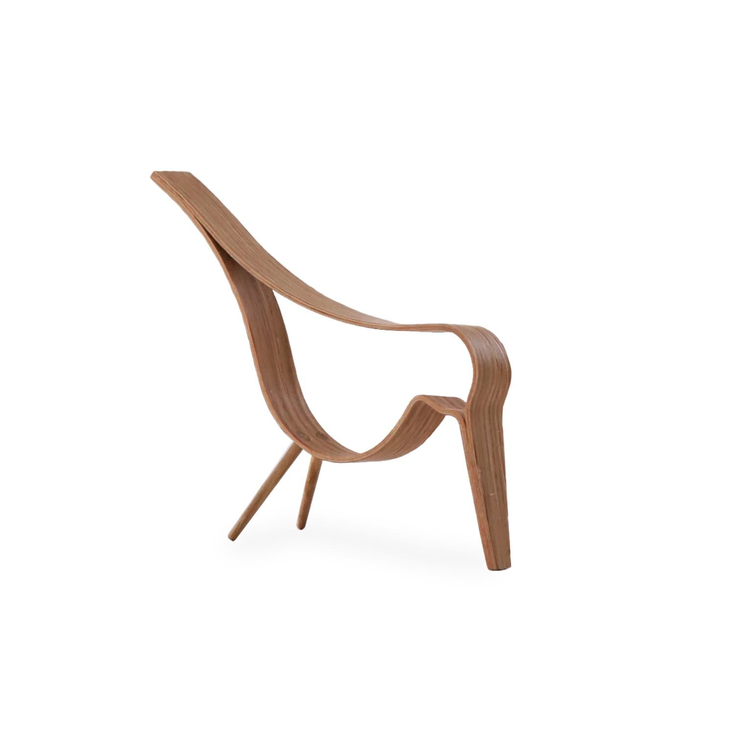 Woody Bird Decoration Oak Medium