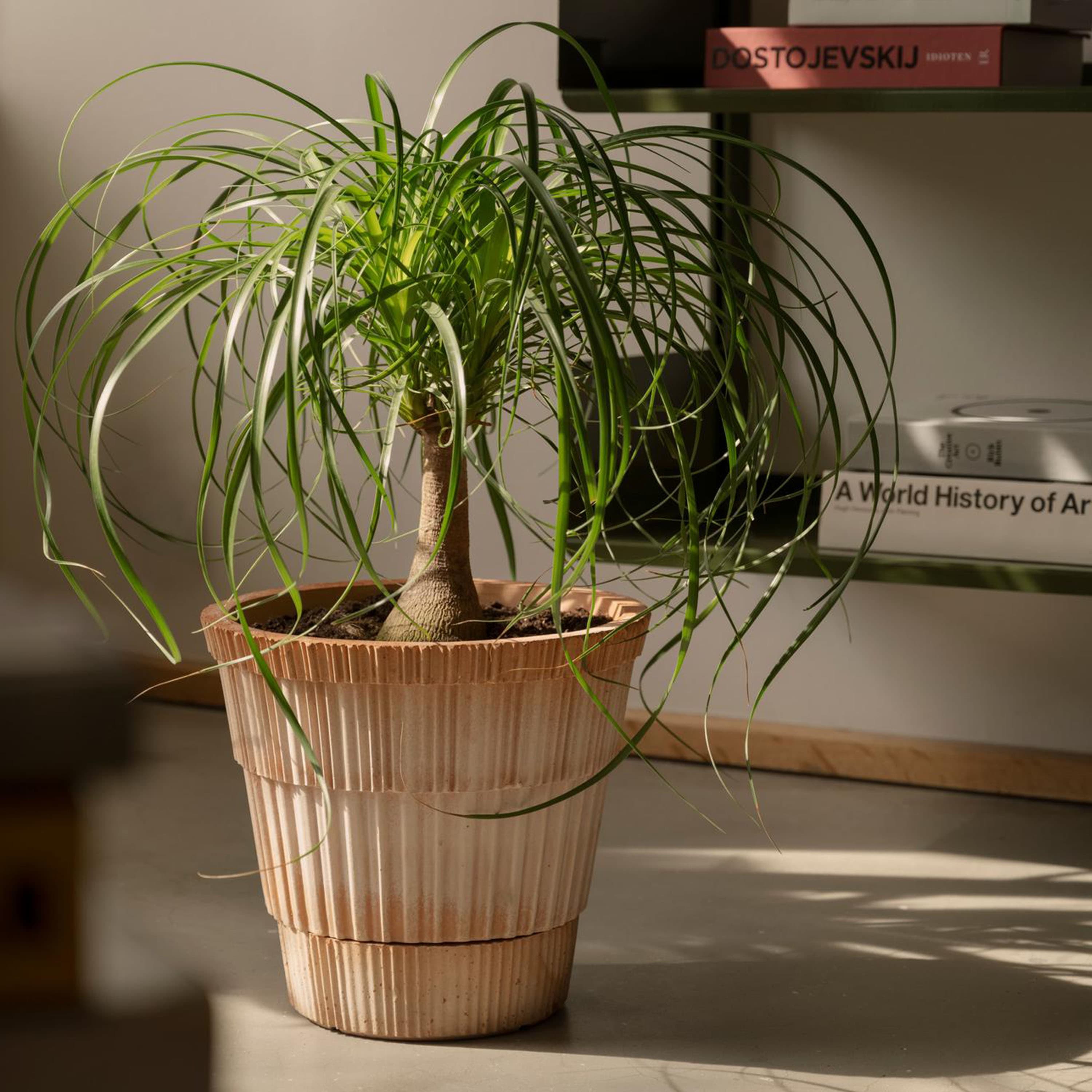 Atlas Topf Raw Rosa Terrakotta Ø21