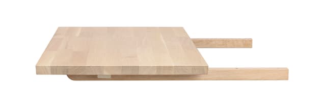 Carradale Zusatzplatte Weiß pigmentiert 50cm