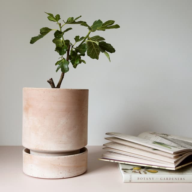 Hoff Topf Raw Rosa Terrakotta Ø30