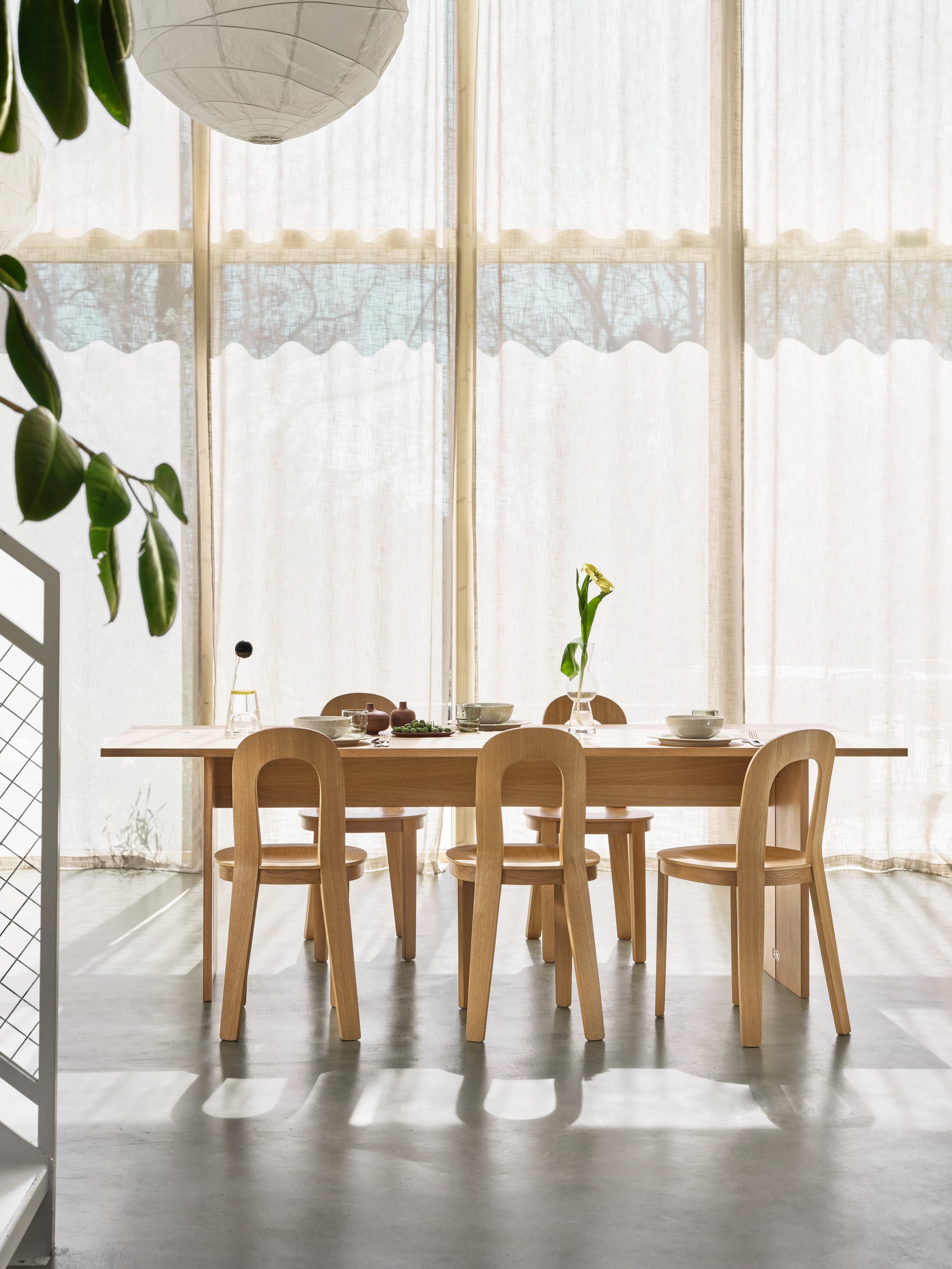Olivia Dining Chair Oak