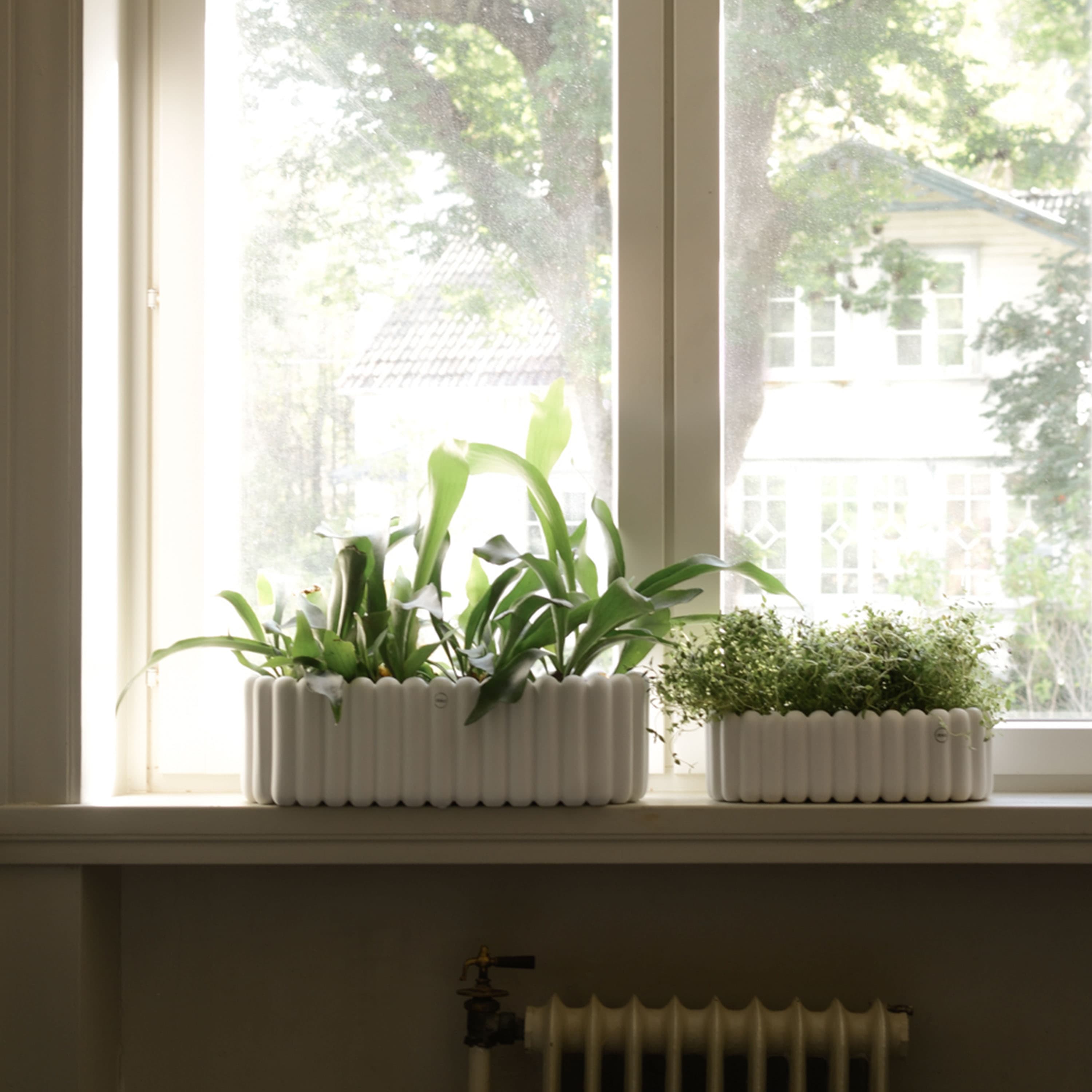 Mist Oval Blumentopf White Small