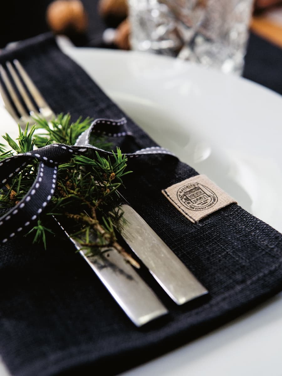 Napkin Linen Stone Set of 4