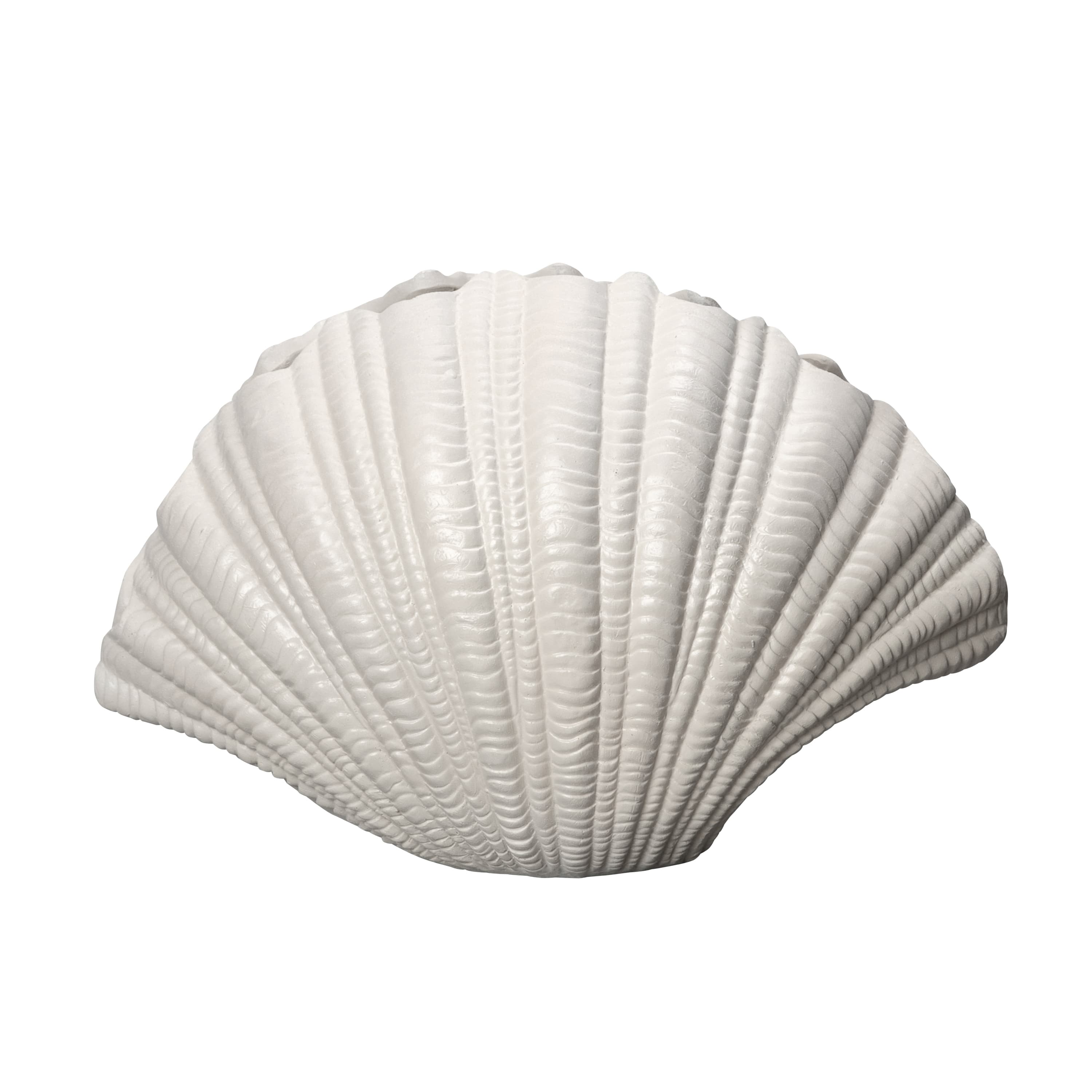 Shell Vase 21cm