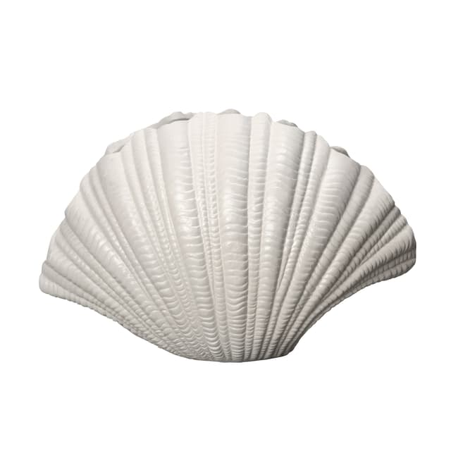 Shell Vase 21cm