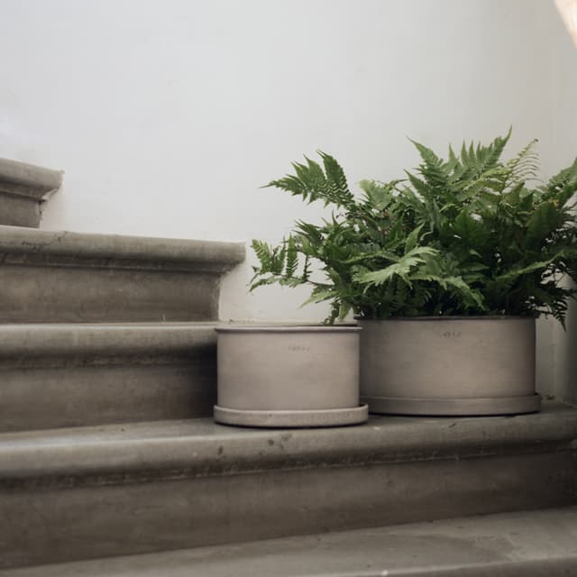 Plant Bowl Topf Beige 2-pack