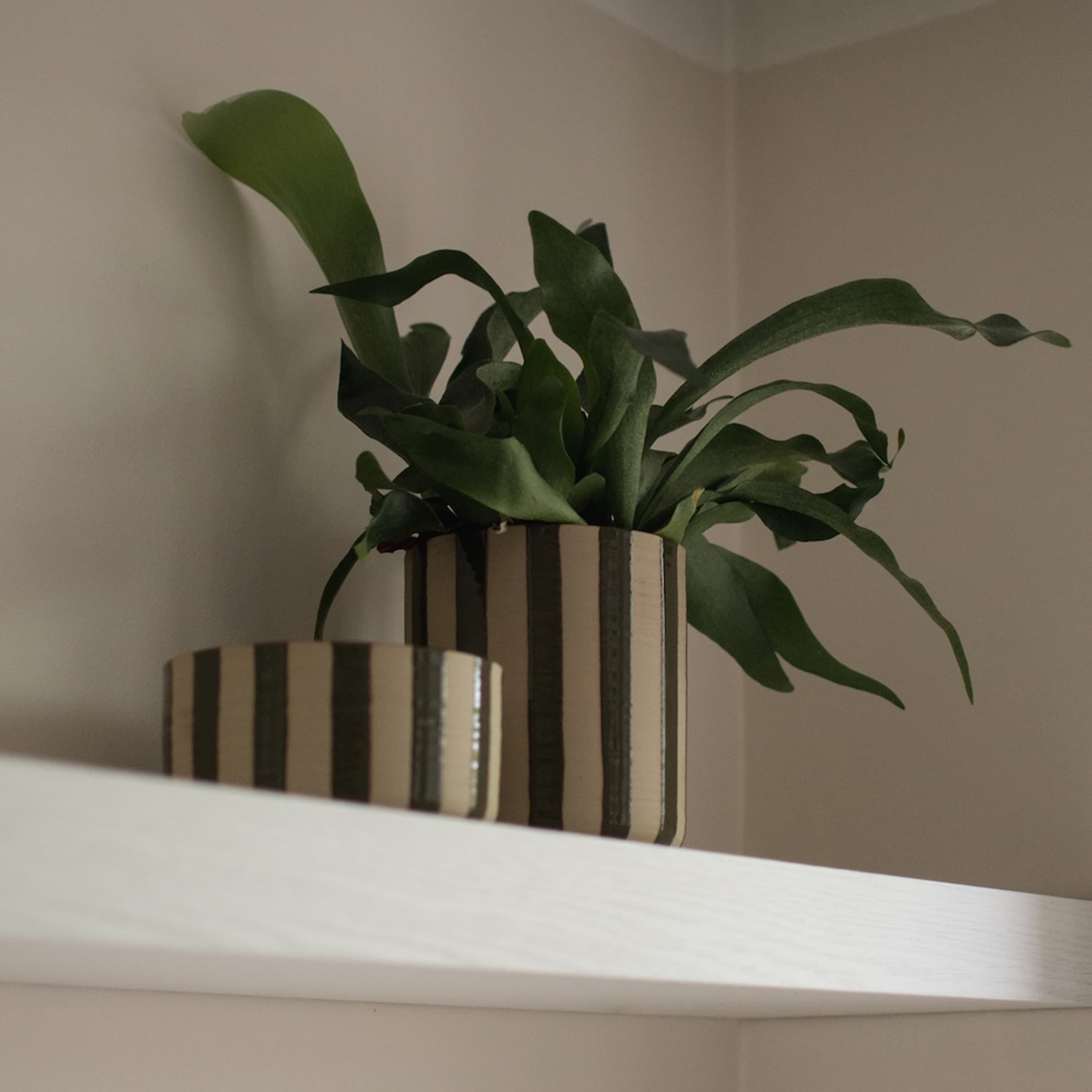Line Blumentopf Gestreift Grün Ø14