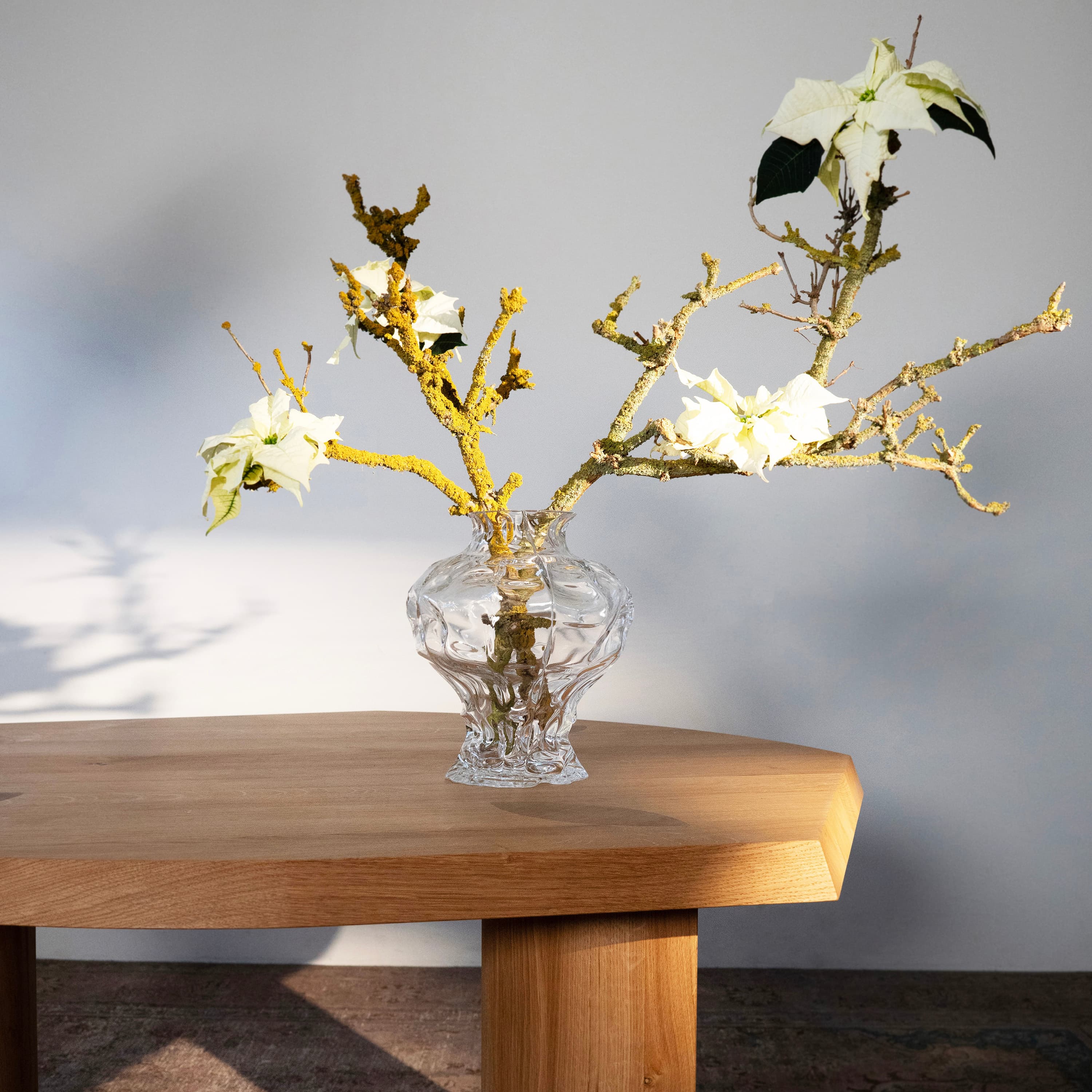 Ammonit Vase Clear Large