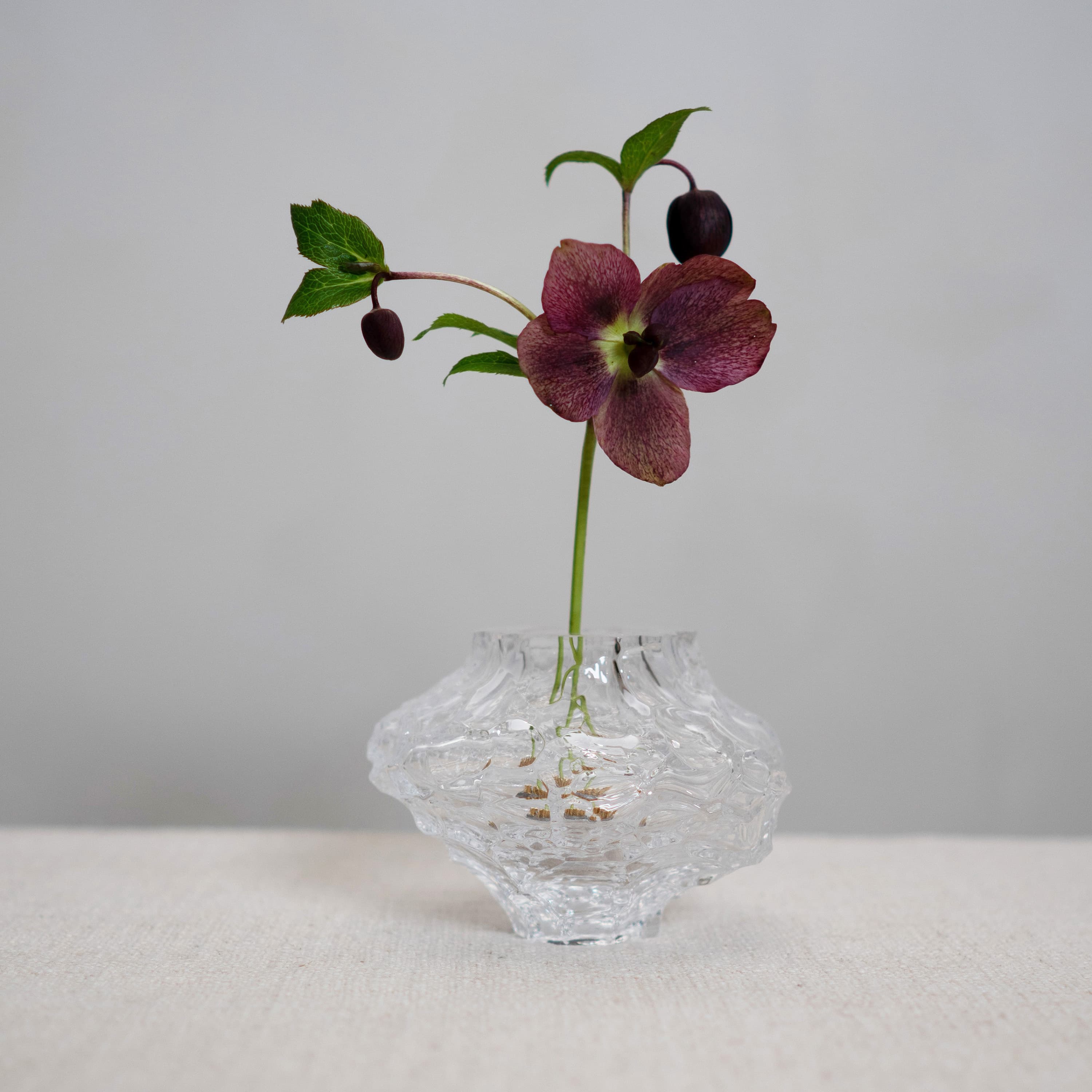 Canyon Vase Clear Mini