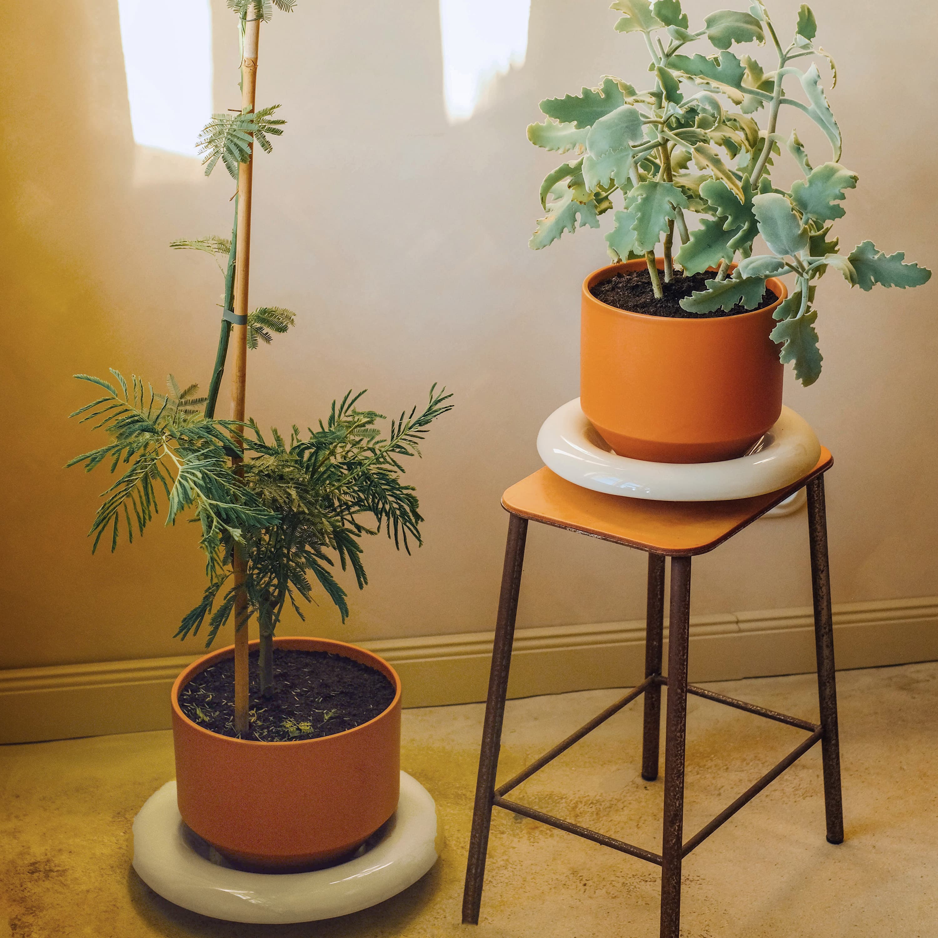 Lily Saucer Glazed Sandstone Ø18