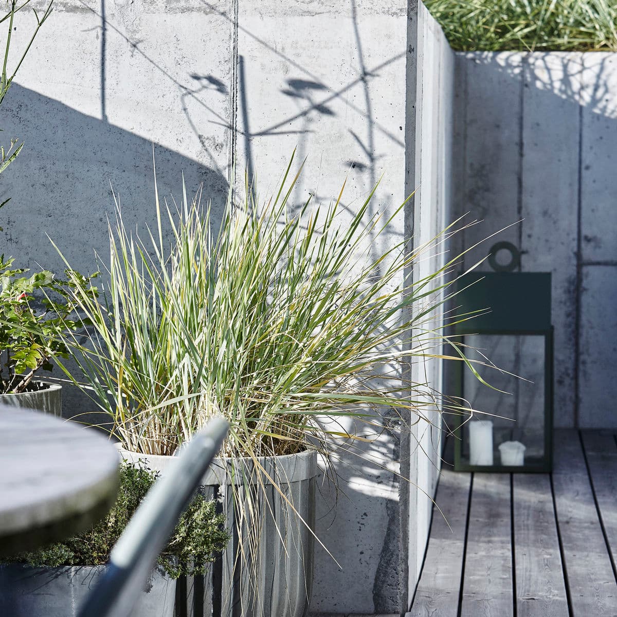 Concrete Topf Hellgrau