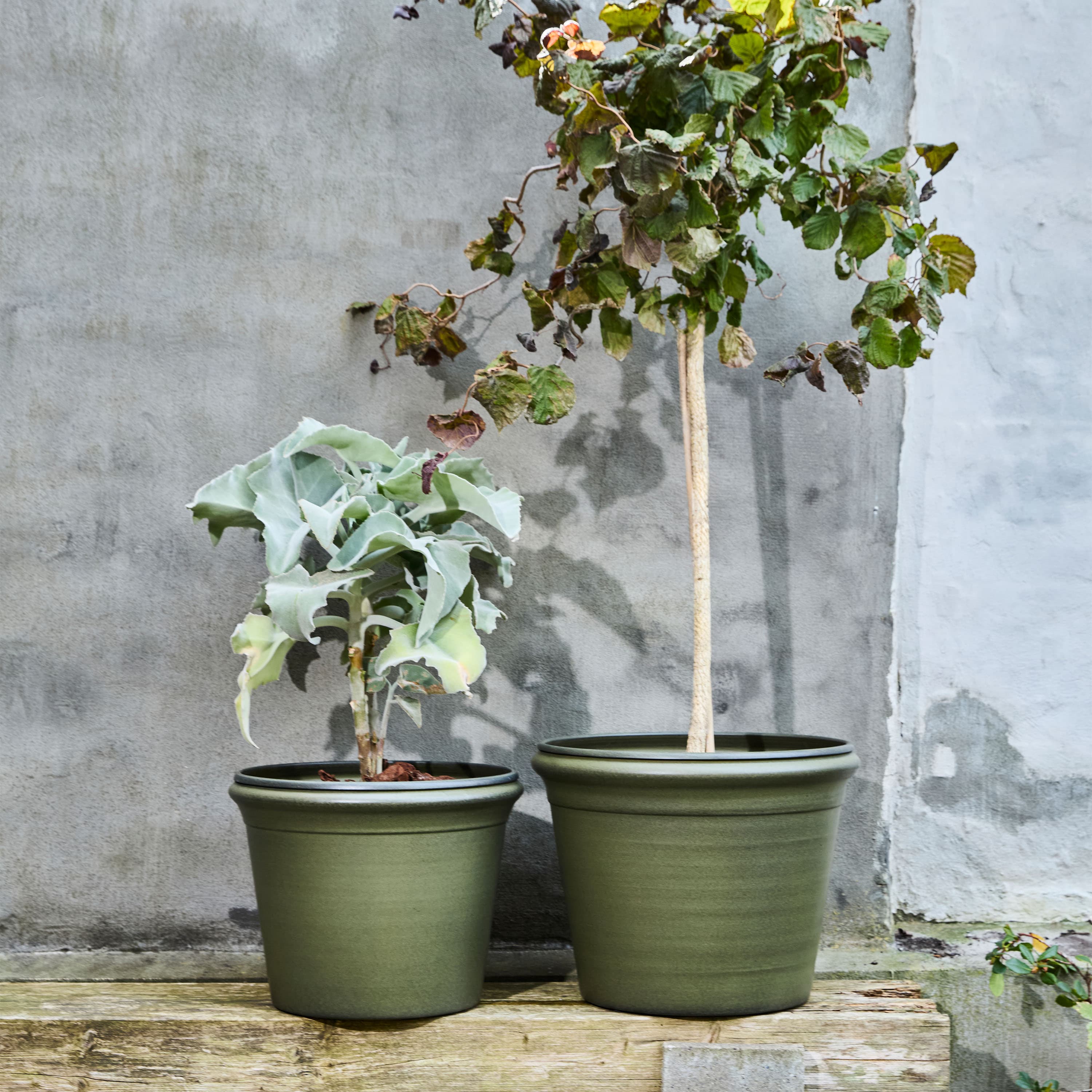 Ivy Blumentopf Grün 2er-Pack