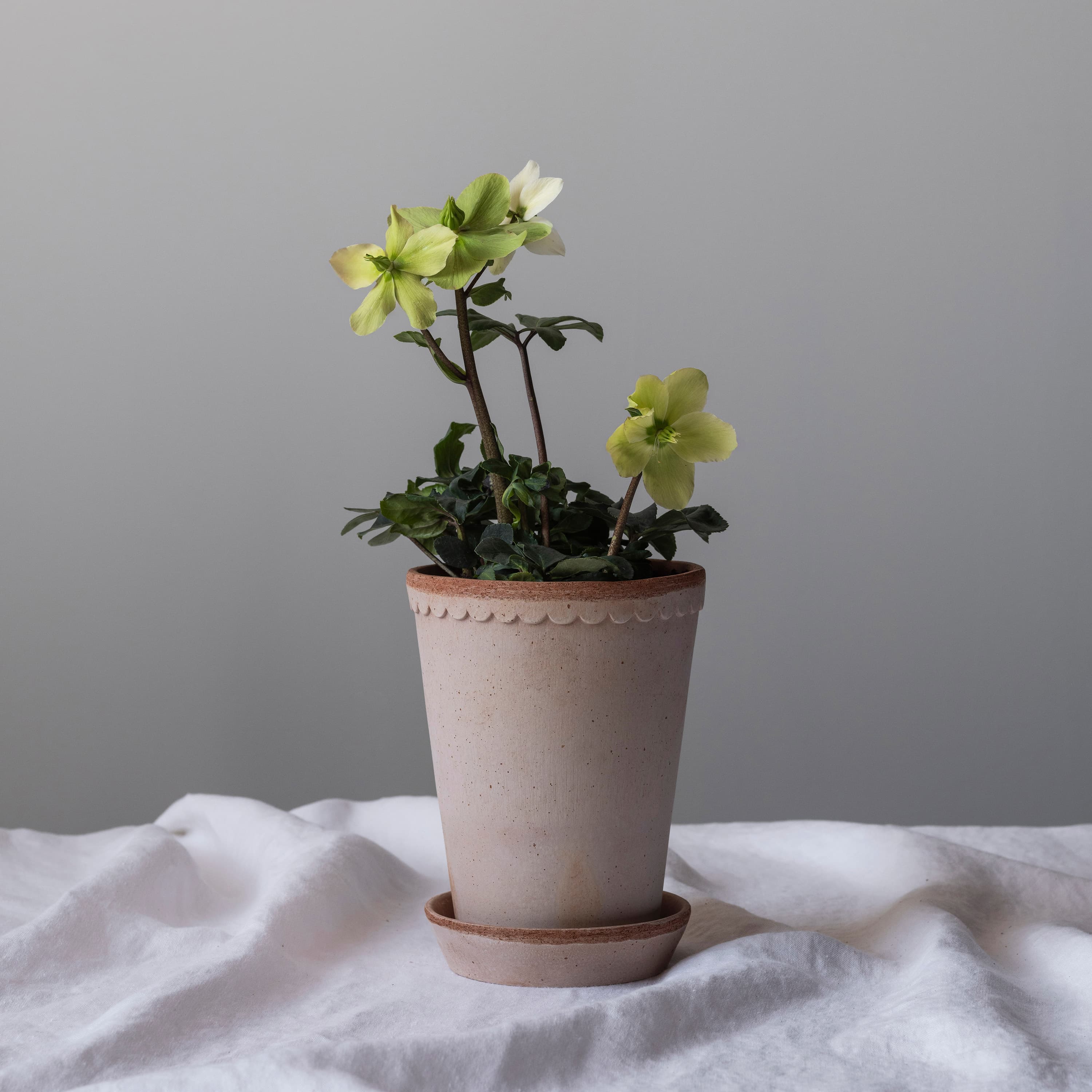 Københavner Tall Planter with Saucer Raw Pink Terracotta Ø18
