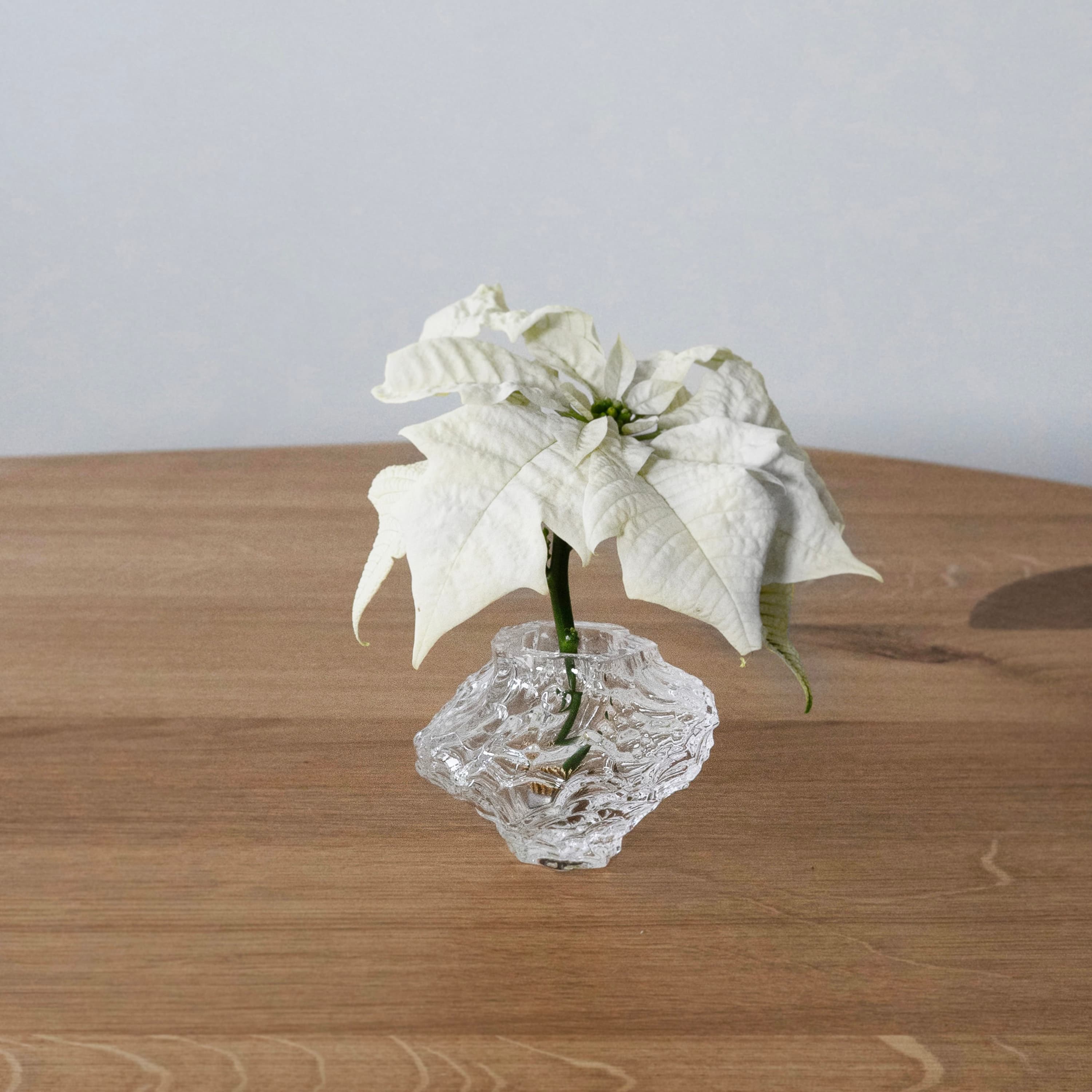 Canyon Vase Clear Mini