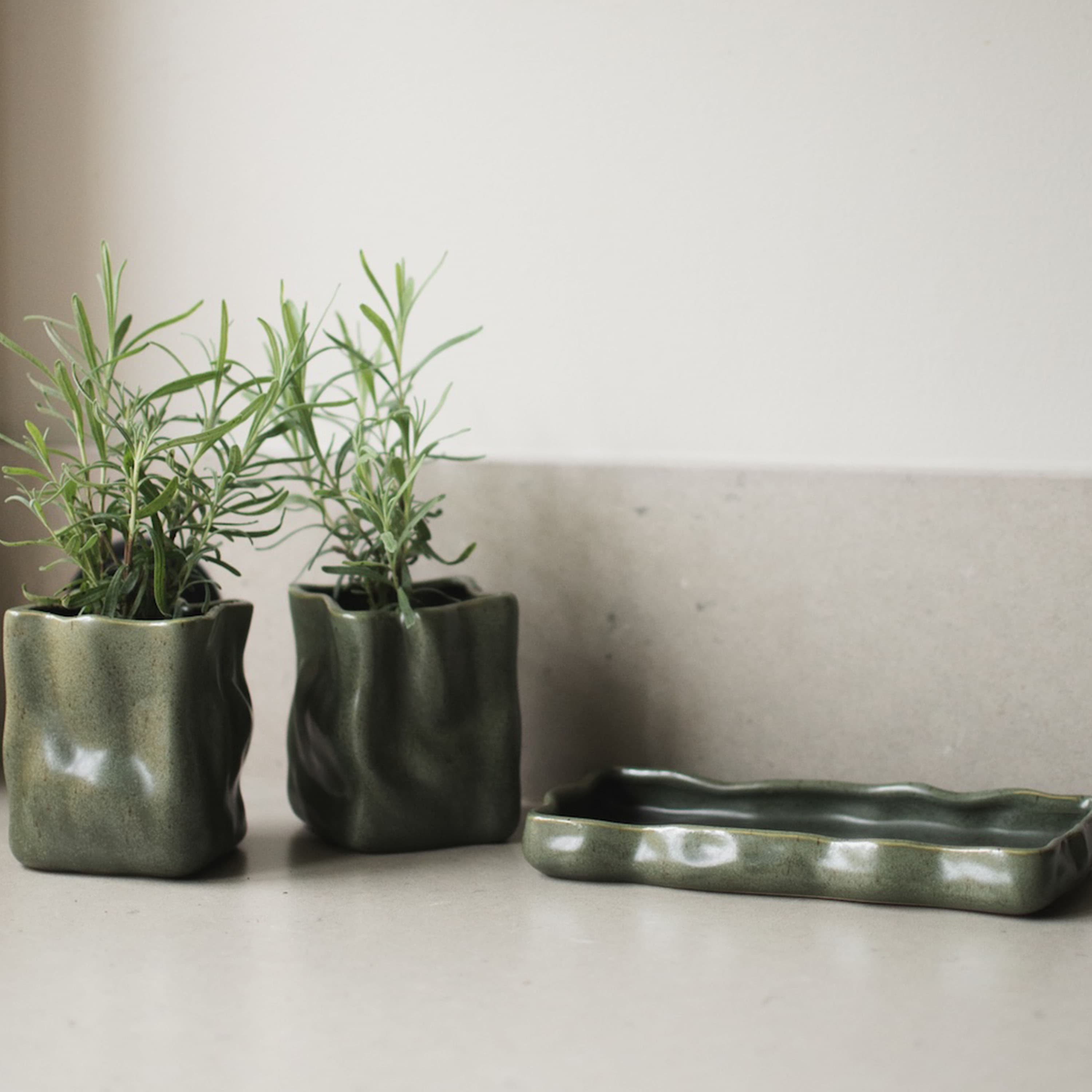 Herb Blumentopf Moos Ø8 2er-Set