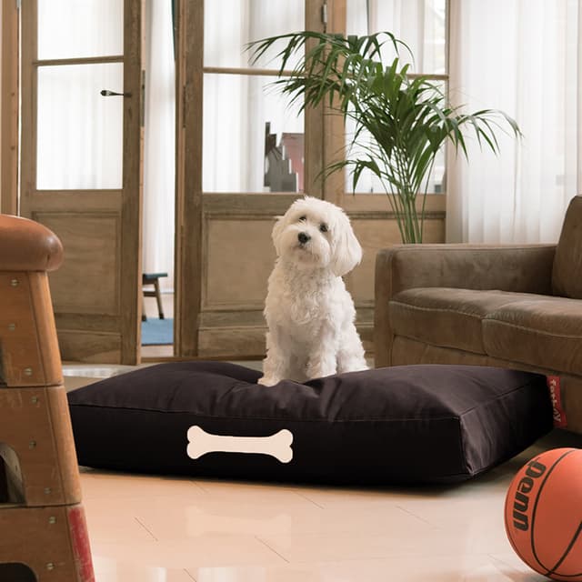 Doggielounge Recycled Schwarz Lakritz 120 cm
