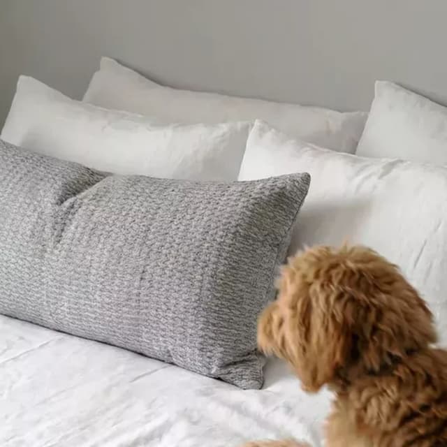 Ilse Decorative Cushion Grey 35x80
