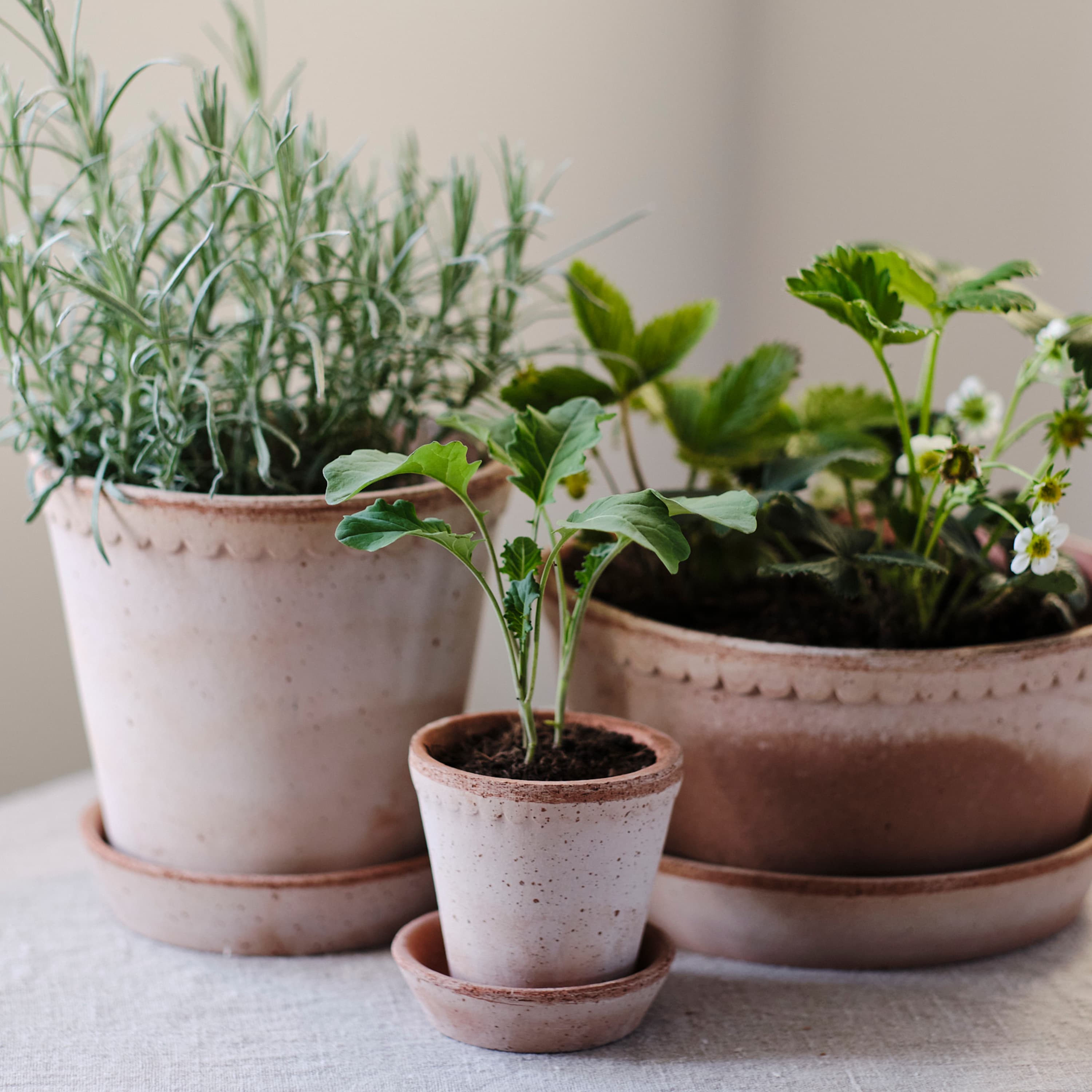 Helena Pot with Saucer Raw Pink Terracotta Ø25