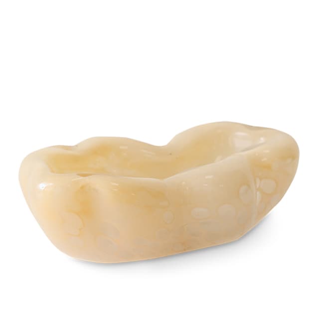 Oyster Schale Glas