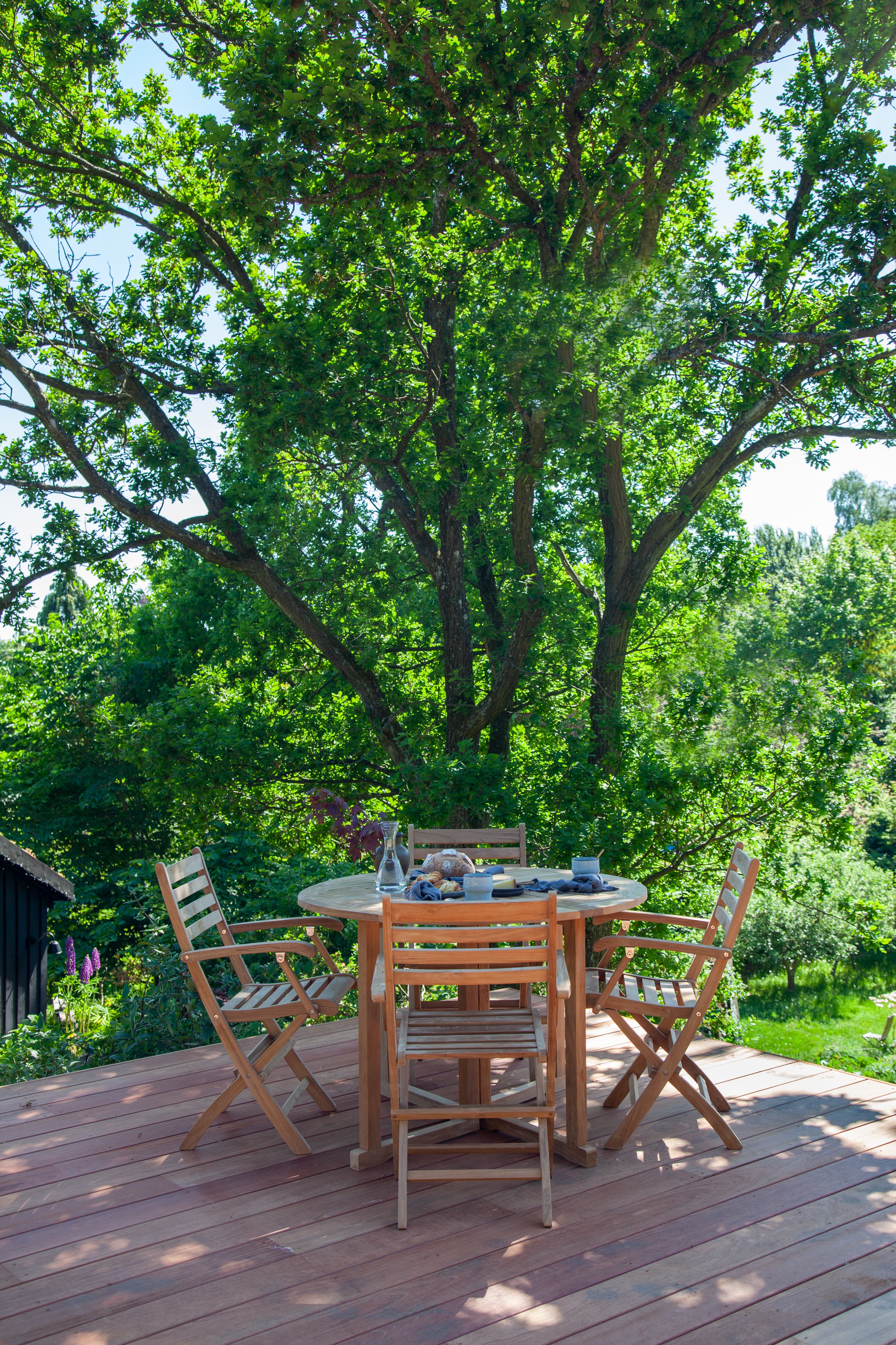York Folding Chair Teak