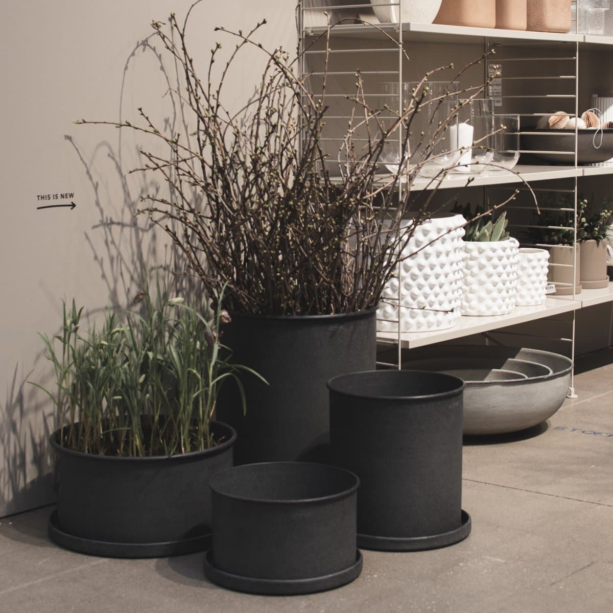 Plant Bowl Pot Black Set of 2