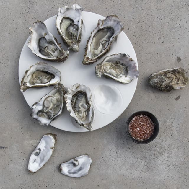 Oyster Servierplatte Weiß Ø27