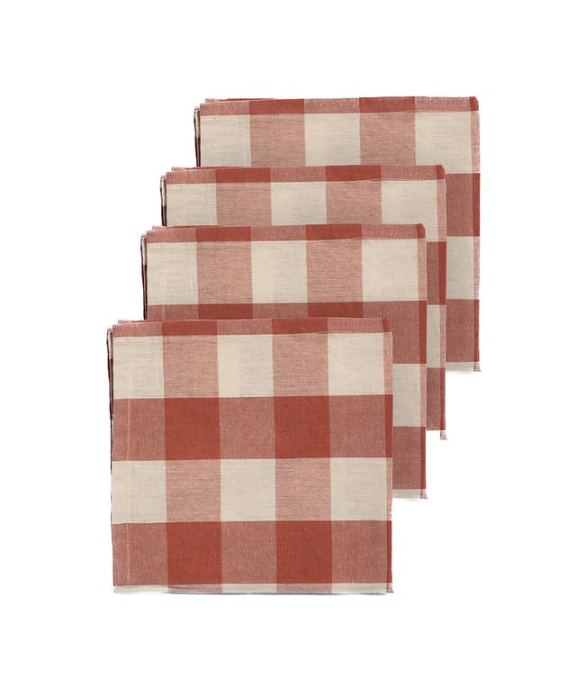Bertel Napkin Terra/Soda Set of 4