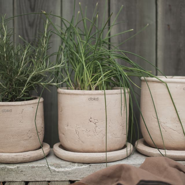 Terra Blumentopf Sand Ø16
