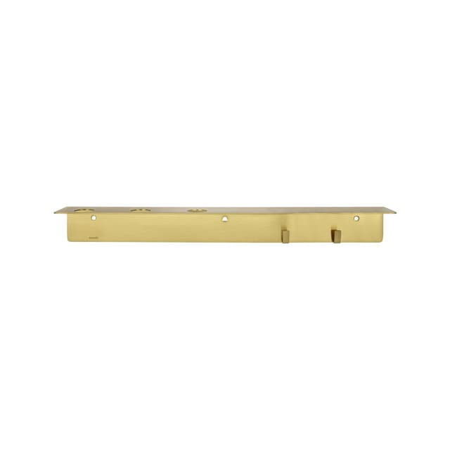 Väggfäste with Hooks Brass 50cm