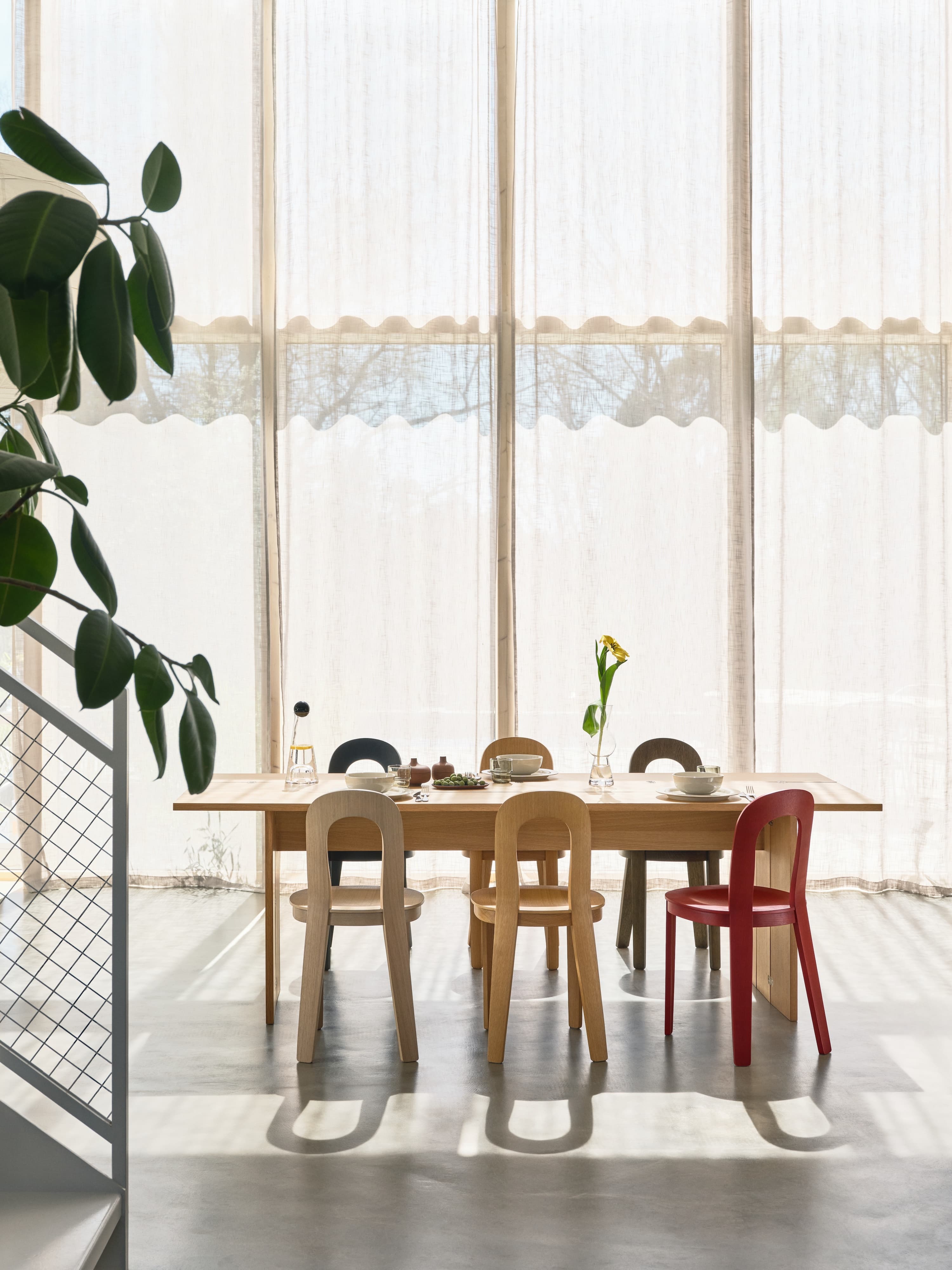 Olivia Dining Chair Oak