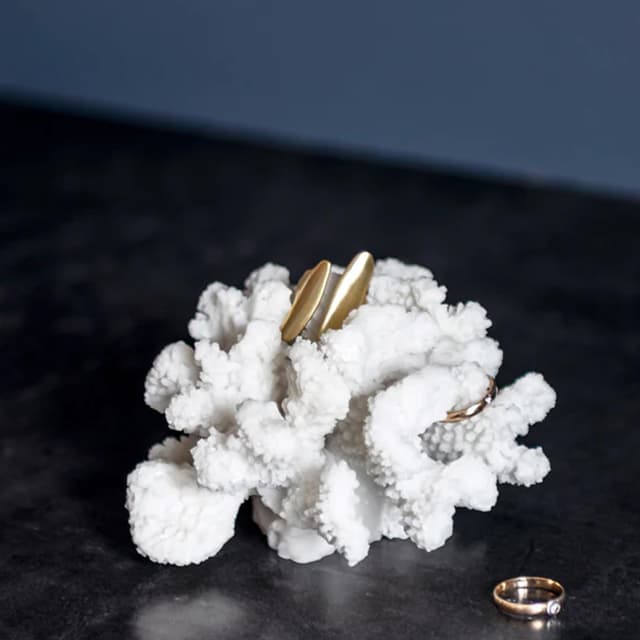 Coral Branches Decoration White Small