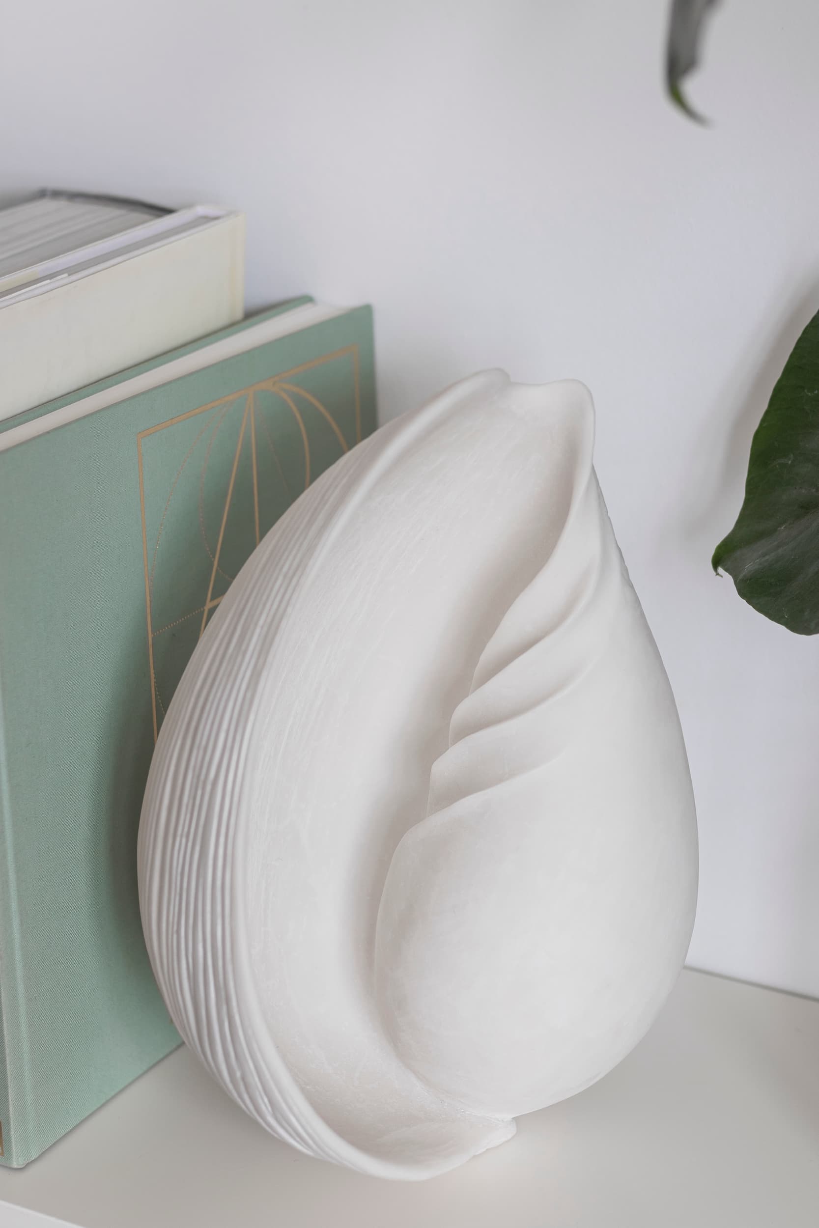 Conch Shell Decoration Off-White Large