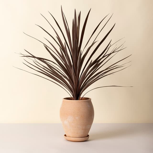 Delphi Plant Pot with Saucer Raw Rosa Tall Ø22