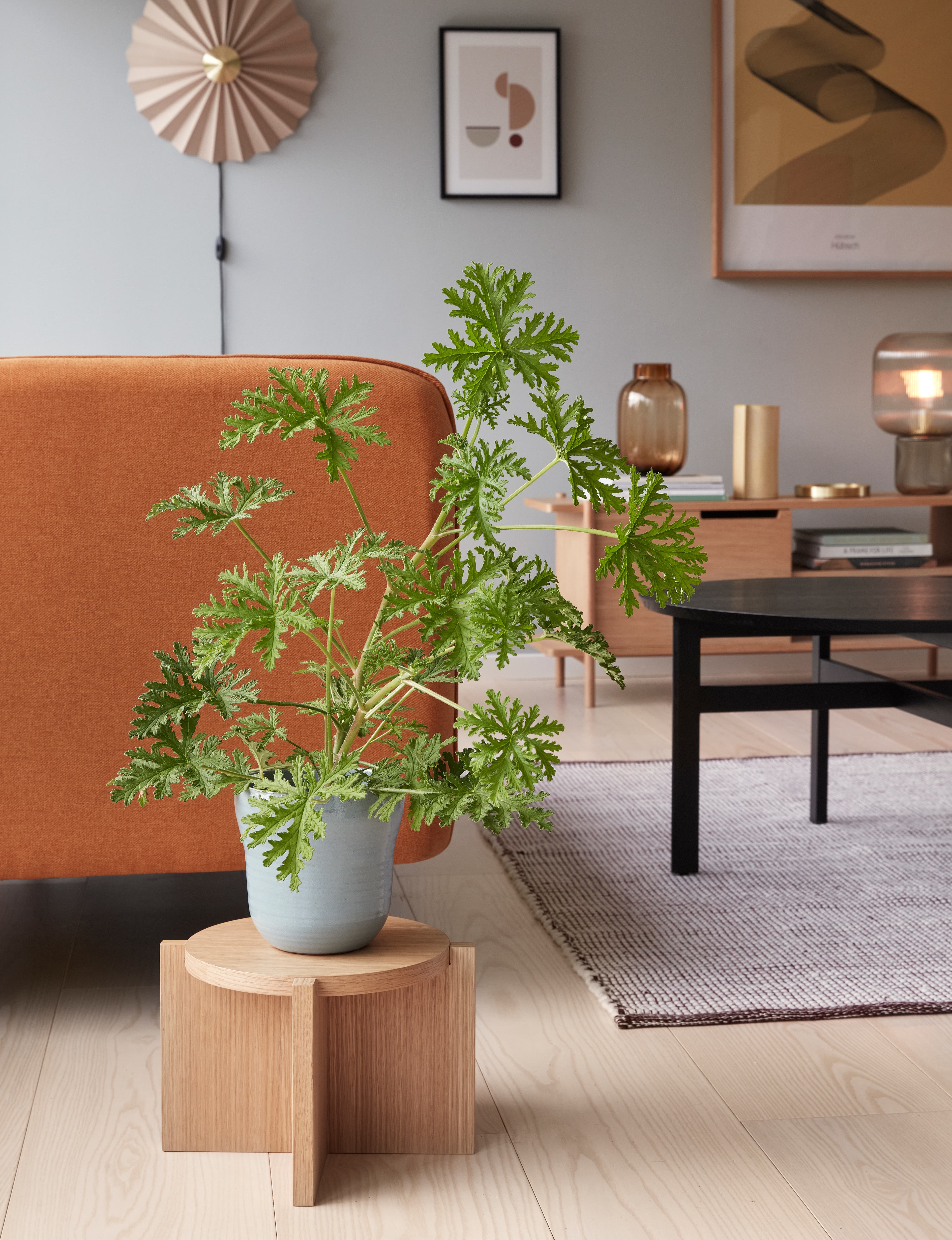 Nomad Pedestal FSC Oak Ø45