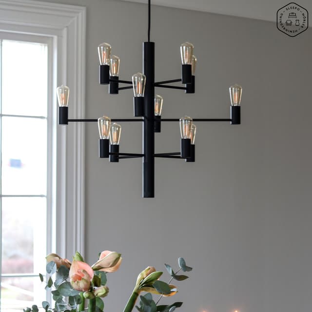 Manola 12 LED Ceiling Light Black