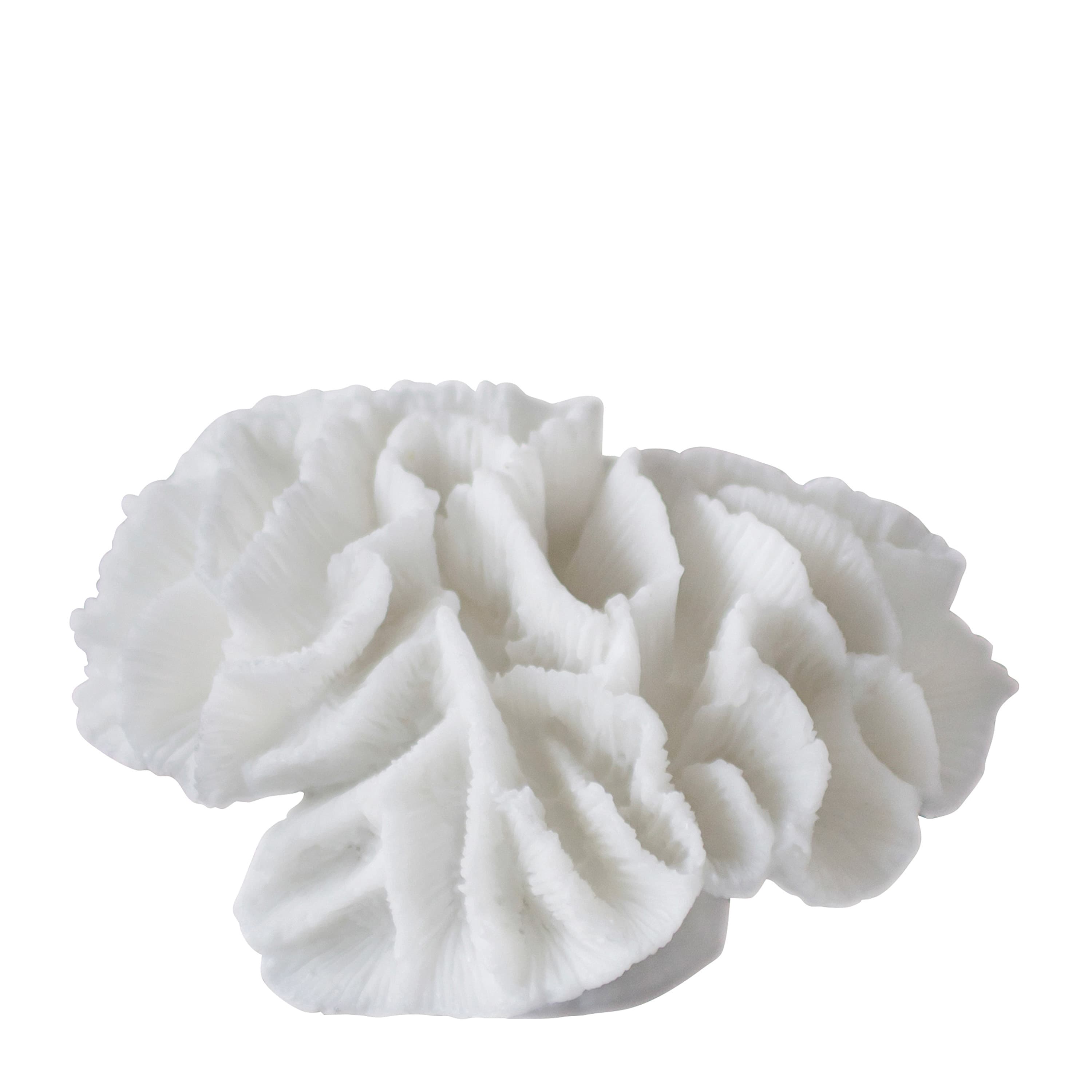Coral Gills Dekoration Weiß