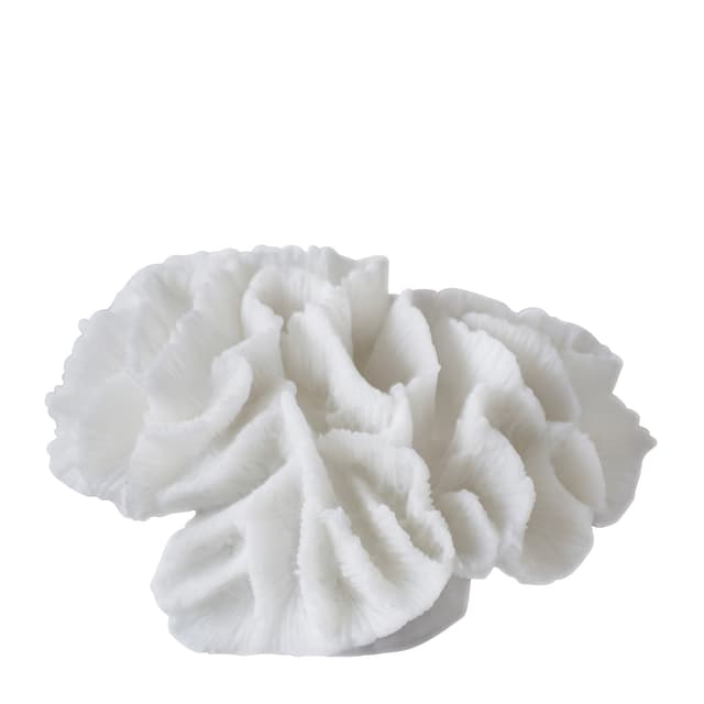 Coral Gills Decoration White