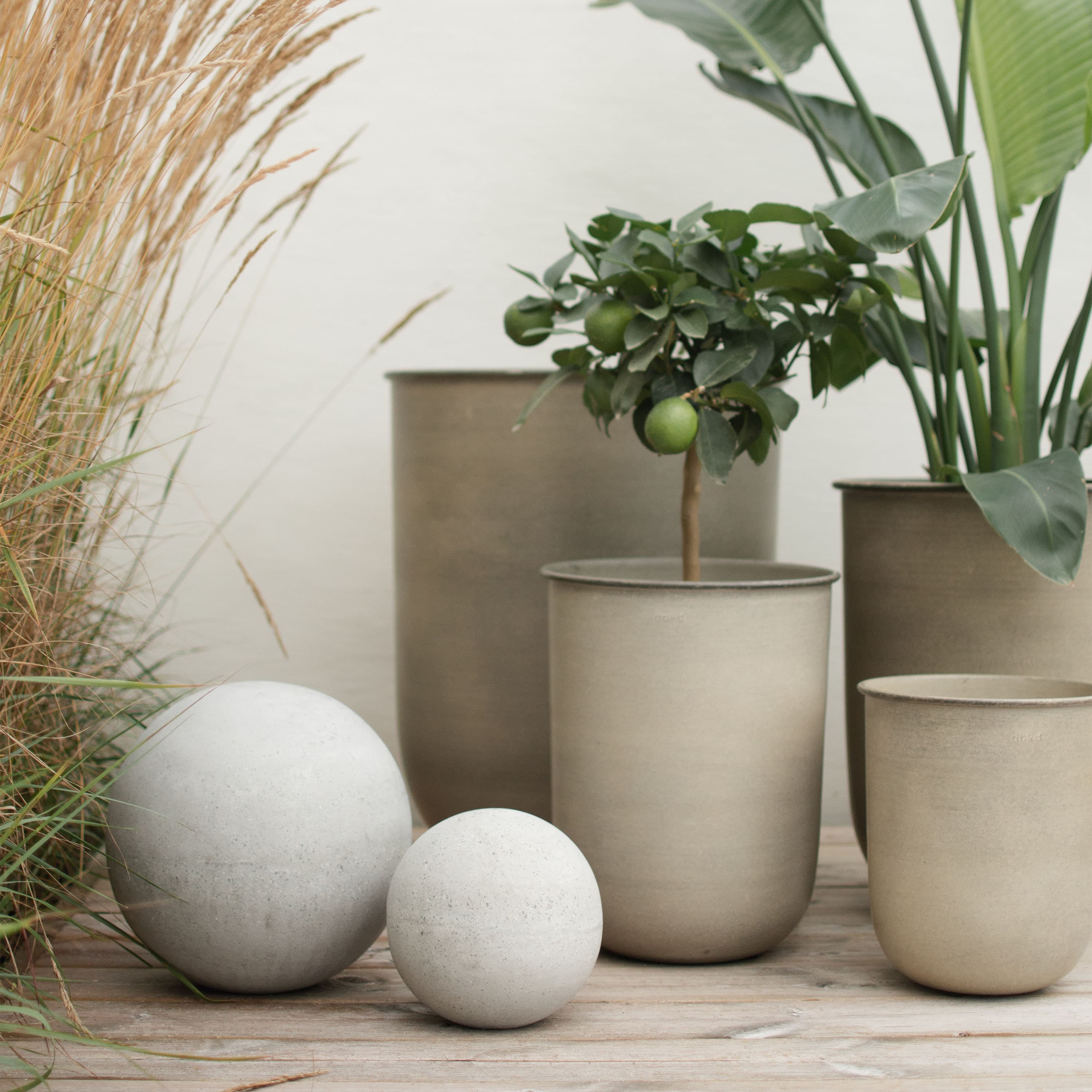 Garden Concrete Dekoration Mittelgroß