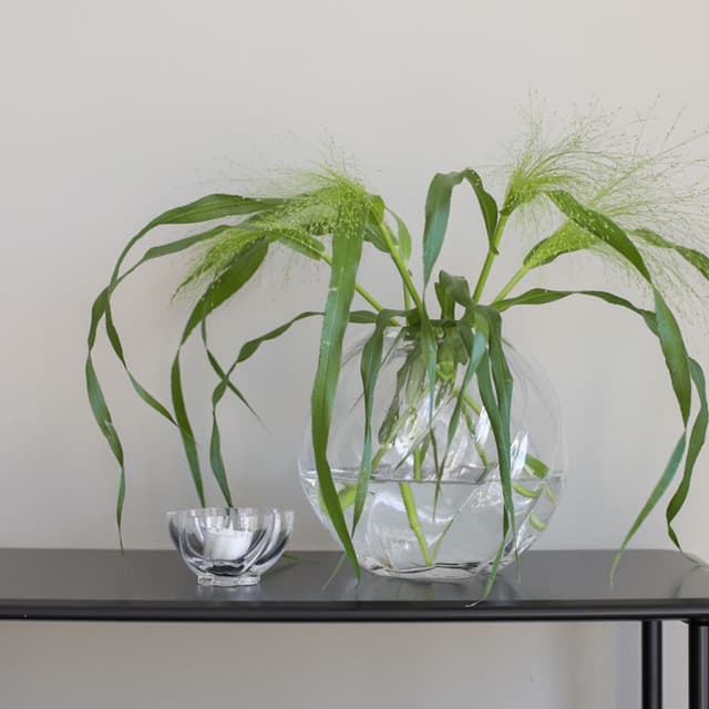 Twist Teelichthalter Glas