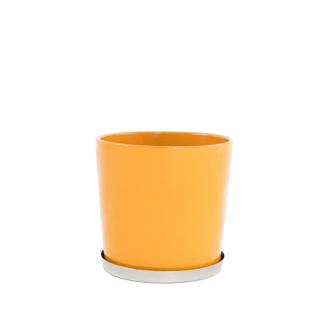 Base 



Kruka Amber Small


Kruka Amber Klein