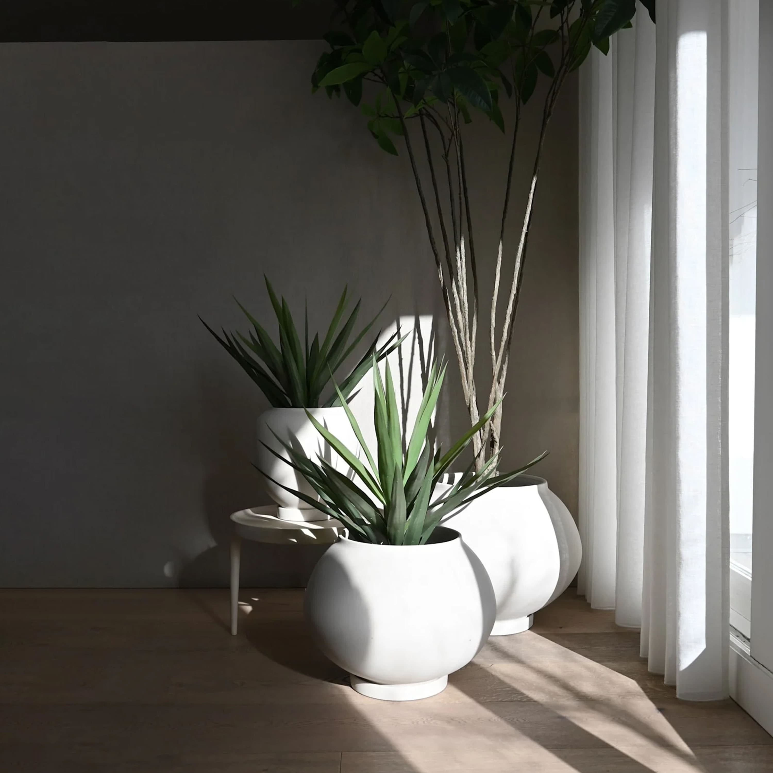 Sunao Blumentopf mit Untersetzer Birch Groß